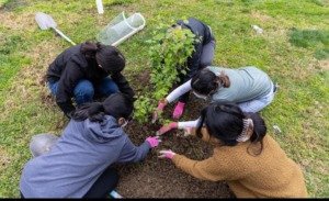 youth climate action